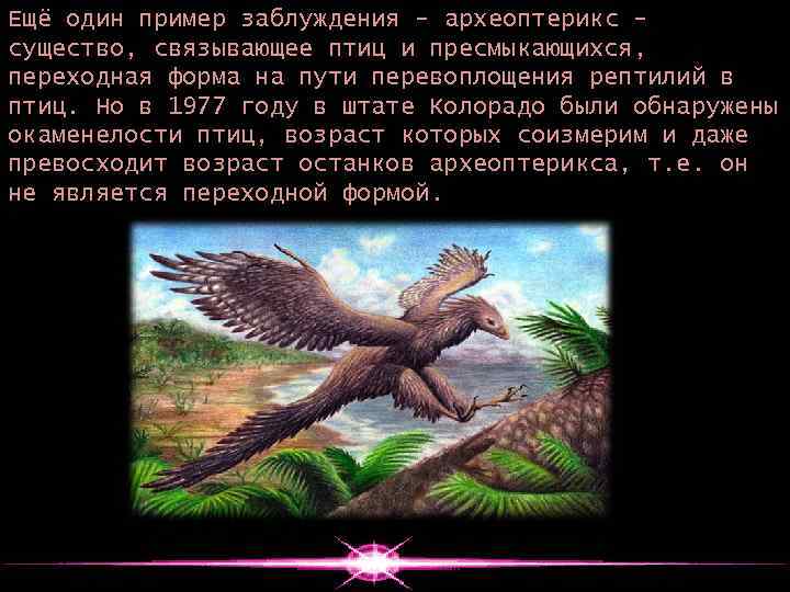 Ещё один пример заблуждения - археоптерикс существо, связывающее птиц и пресмыкающихся, переходная форма на