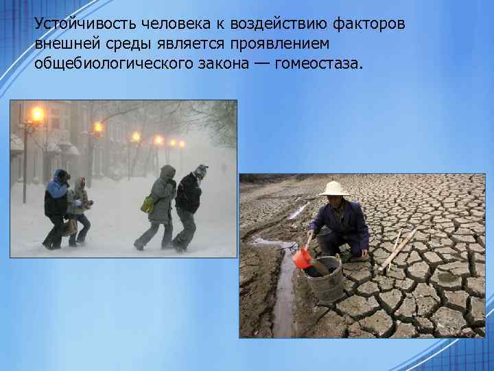 Устойчивость человека к воздействию факторов внешней среды является проявлением общебиологического закона — гомеостаза. 