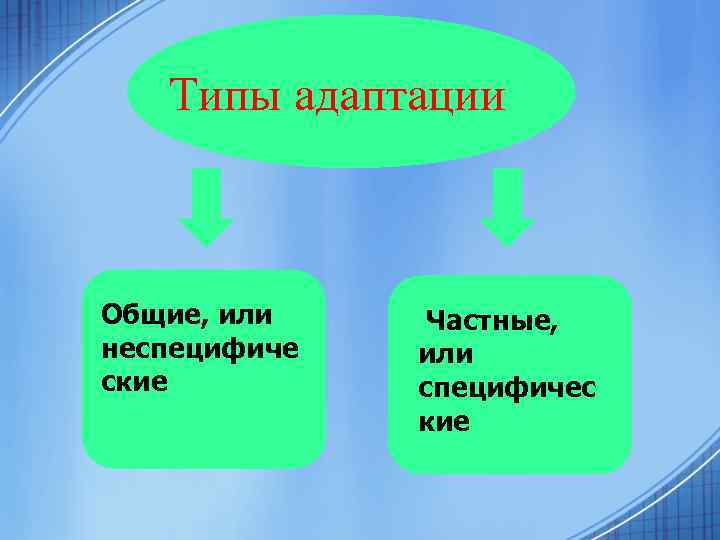 Типы адаптации Общие, или неспецифиче ские Частные, или специфичес кие 