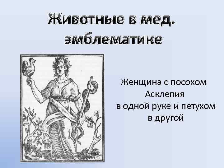 Животные в мед. эмблематике Женщина с посохом Асклепия в одной руке и петухом в