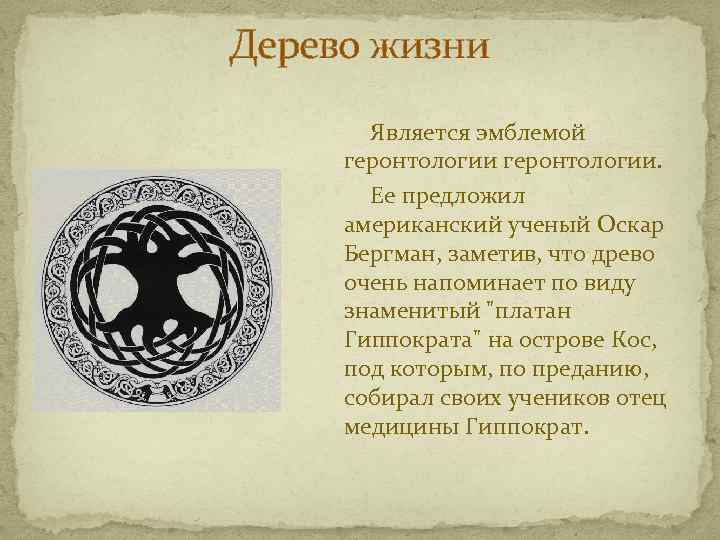 Дерево жизни Является эмблемой геронтологии. Ее предложил американский ученый Оскар Бергман, заметив, что древо