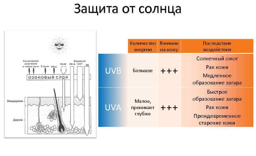 Защита от солнца и Количество Влияние энергии на кожу UVB UVA Большое Малое, проникает