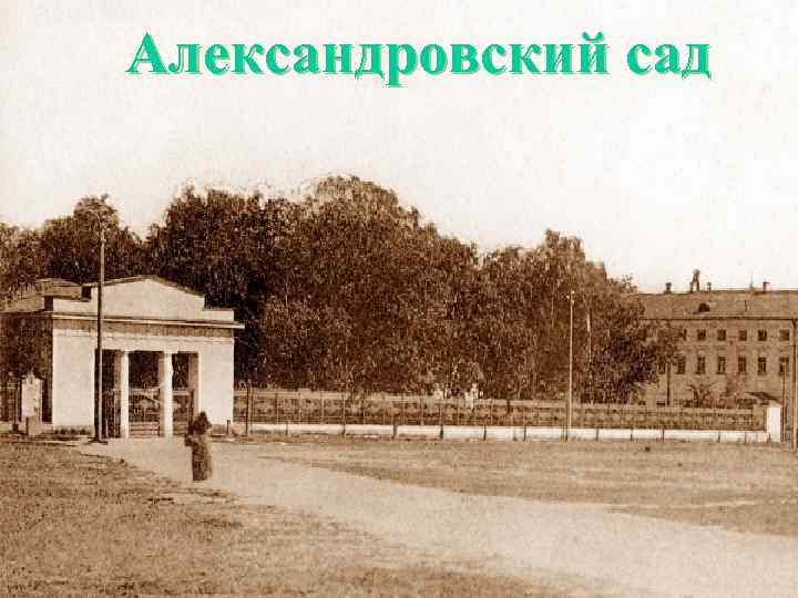 Александровский сад киров фото