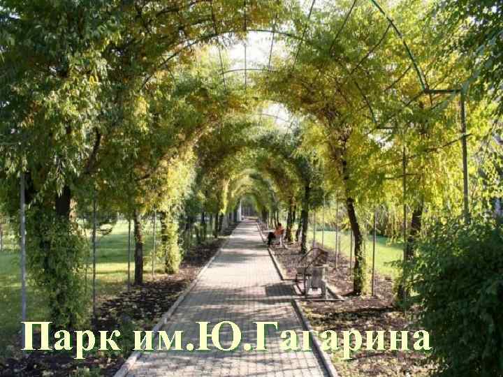 Парк им. Ю. Гагарина 