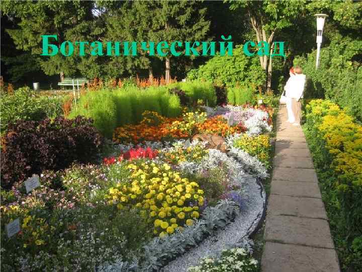 Ботанический сад 