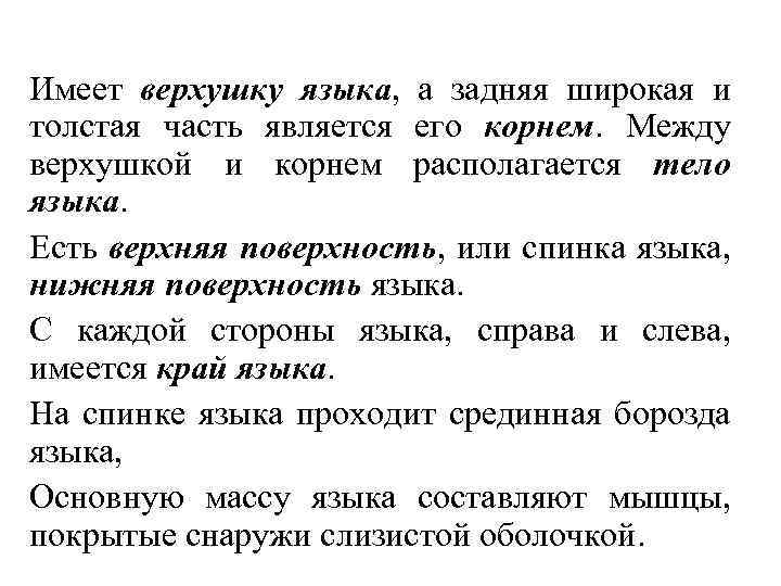 Имеет верхушку языка, а задняя широкая и толстая часть является его корнем. Между верхушкой