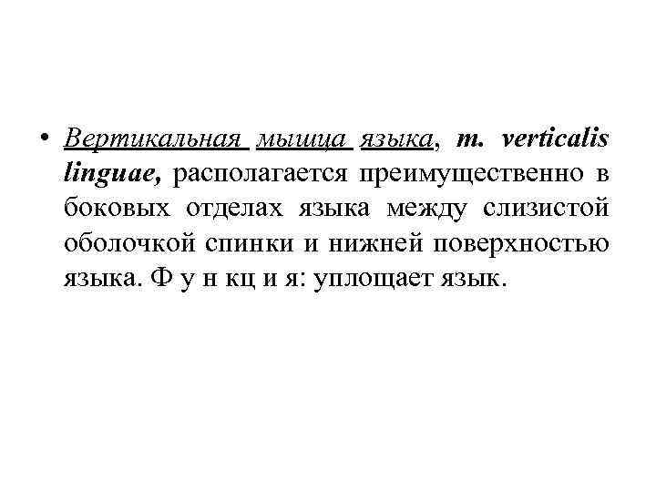  • Вертикальная мышца языка, m. verticalis linguae, располагается преимущественно в боковых отделах языка