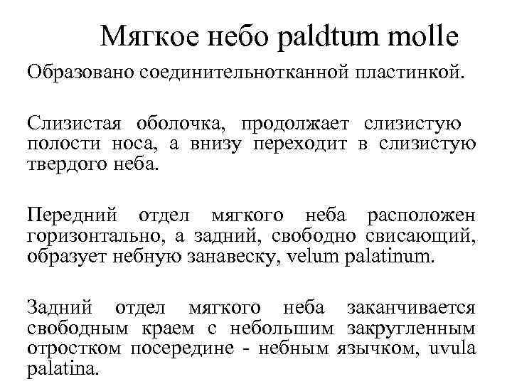 Мягкое небо paldtum molle Образовано соединительнотканной пластинкой. Слизистая оболочка, продолжает слизистую полости носа, а