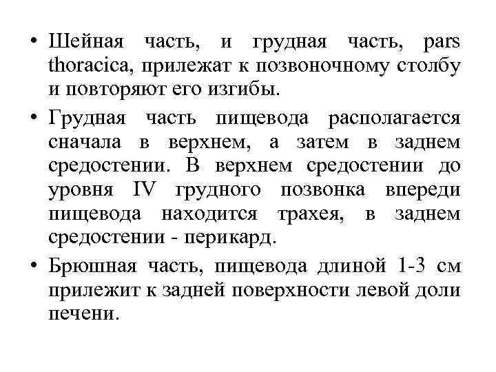  • Шейная часть, и грудная часть, pars thoracica, прилежат к позвоночному столбу и