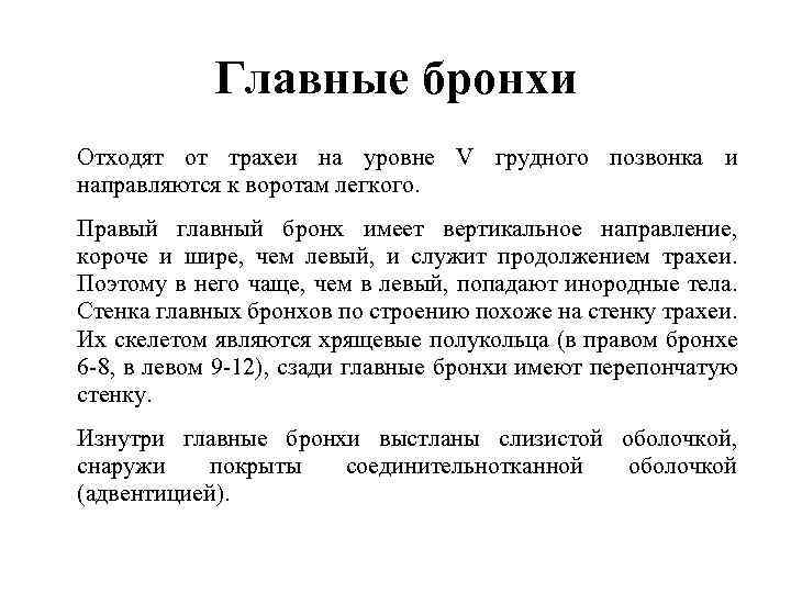 Главные бронхи Отходят от трахеи на уровне V грудного позвонка и направляются к воротам