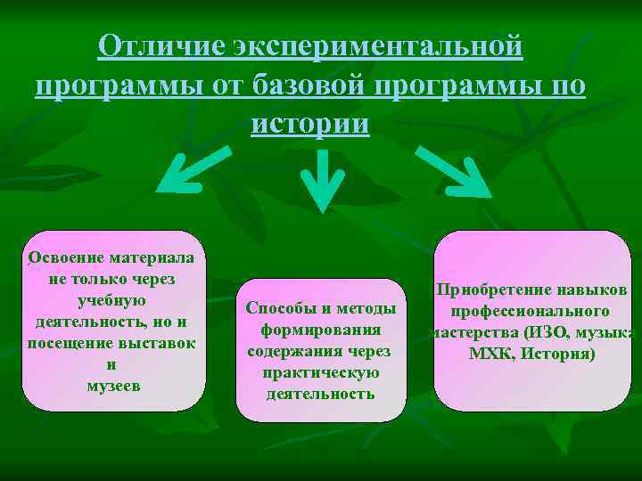 Отличие экспериментальной программы от базовой программы по истории Освоение материала не только через учебную