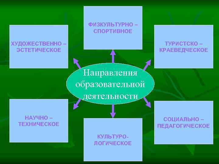 ФИЗКУЛЬТУРНО – СПОРТИВНОЕ ХУДОЖЕСТВЕННО – ЭСТЕТИЧЕСКОЕ ТУРИСТСКО – КРАЕВЕДЧЕСКОЕ Направления образовательной деятельности НАУЧНО –