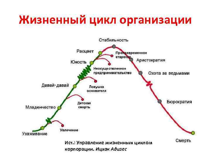 Жизненный цикл организации Ист. : Управление жизненным циклом корпорации. Ицхак Адизес 