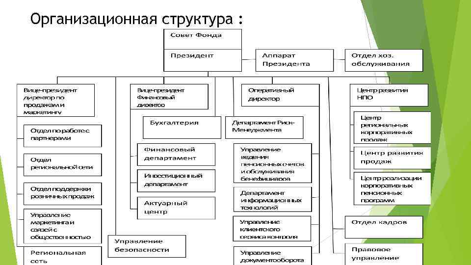 Организационная структура : 