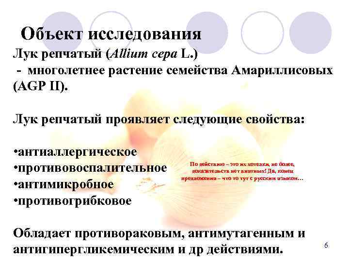 Объект исследования Лук репчатый (Allium cepa L. ) - многолетнее растение семейства Амариллисовых (AGP