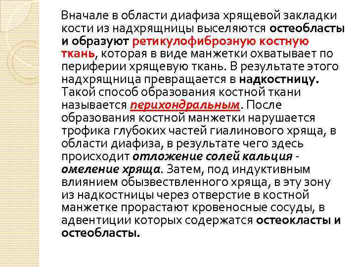 Вначале в области диафиза хрящевой закладки кости из надхрящницы выселяются остеобласты и образуют ретикулофиброзную