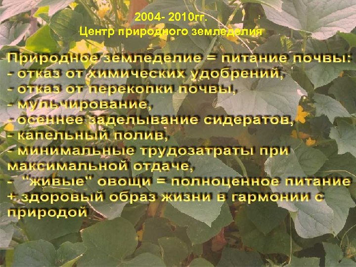 2004 - 2010 гг. Центр природного земледелия 