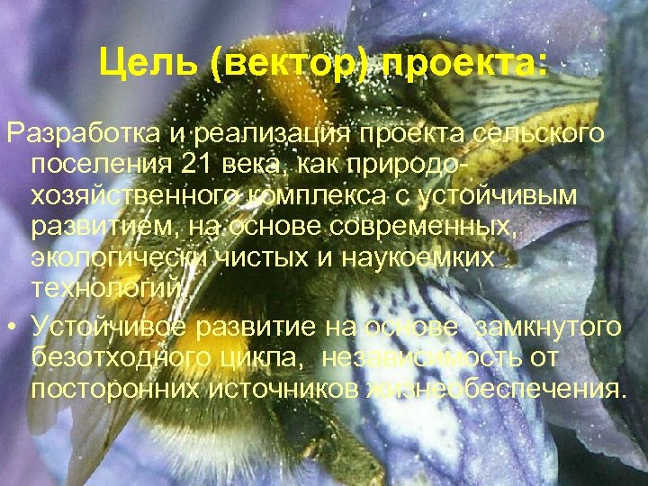 Цель (вектор) проекта: Разработка и реализация проекта сельского поселения 21 века, как природохозяйственного комплекса