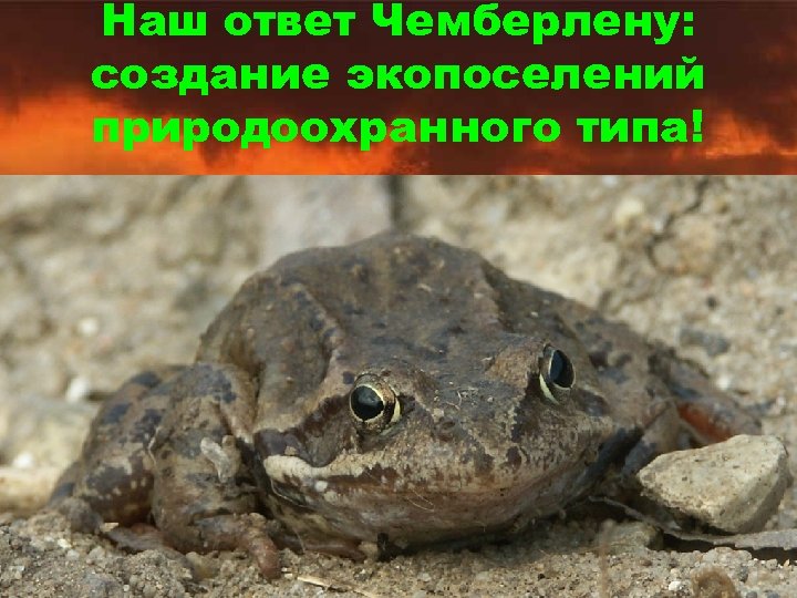 Наш ответ Чемберлену: создание экопоселений природоохранного типа! 