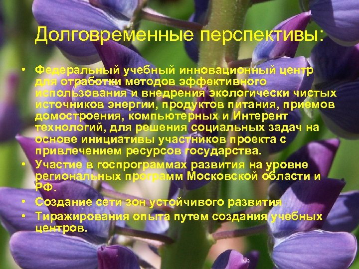 Долговременные перспективы: • Федеральный учебный инновационный центр для отработки методов эффективного использования и внедрения