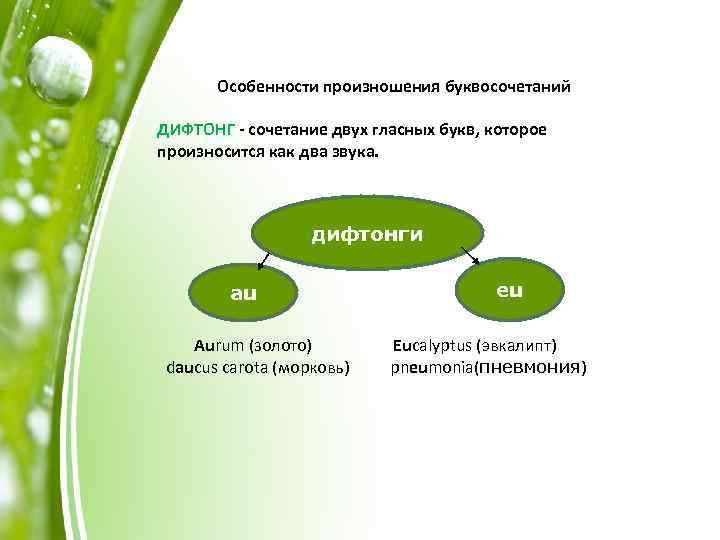 Особенности произношения буквосочетаний ДИФТОНГ - сочетание двух гласных букв, которое произносится как два звука.
