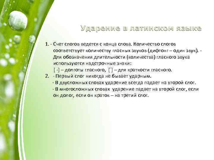 1. - Счет слогов ведется с конца слова. Количество слогов соответствует количеству гласных звуков