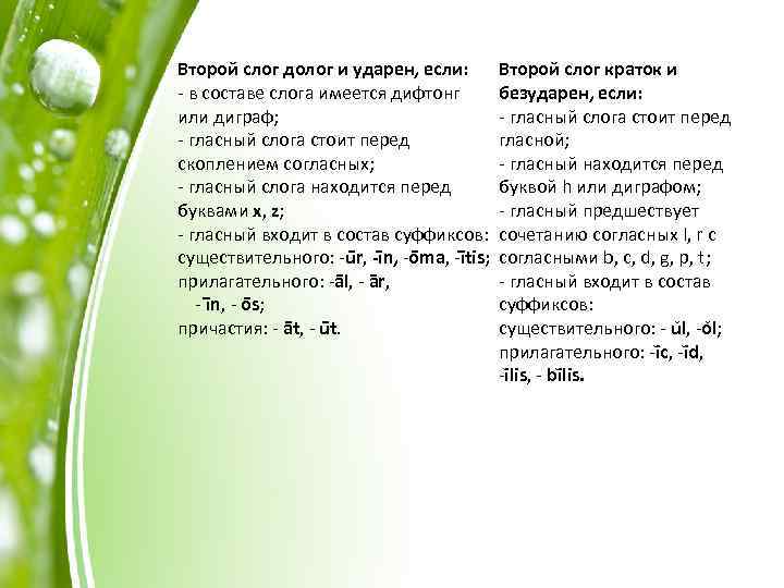 Второй слог долог и ударен, если: - в составе слога имеется дифтонг или диграф;