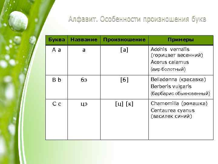 Буква Название Произношение Примеры Aa а [a] Ado nis verna lis (горицвет весенний) Acorus
