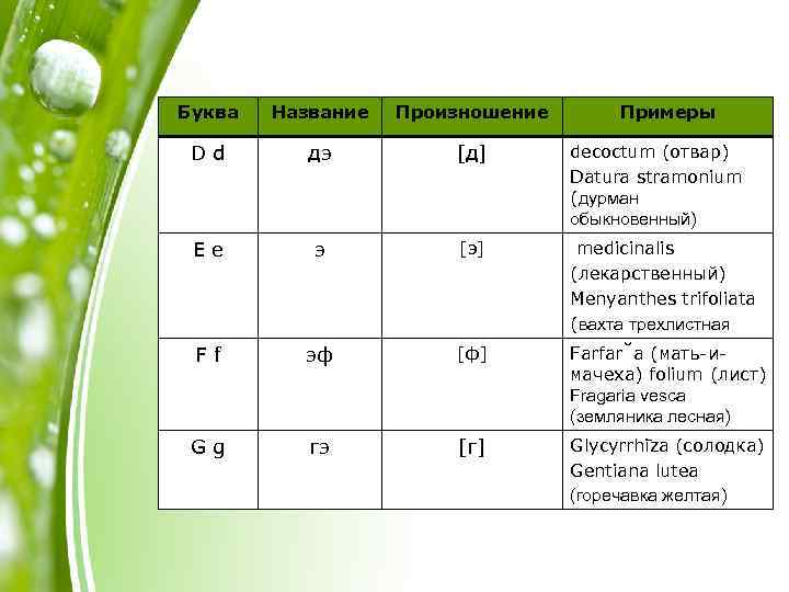 Буква Название Произношение Примеры Dd дэ [д] decoctum (отвар) Datura stramonium (дурман обыкновенный) Ee