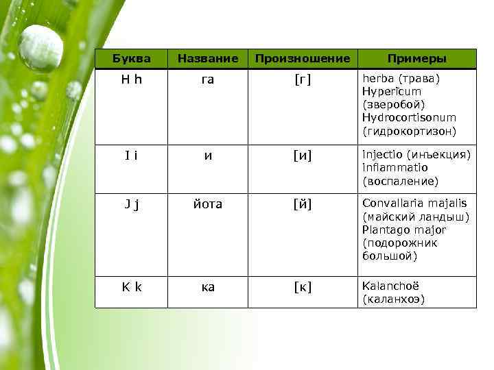 Буква Название Произношение Примеры Hh га [г] herba (трава) Hyperi cum (зверобой) Hydrocortisonum (гидрокортизон)