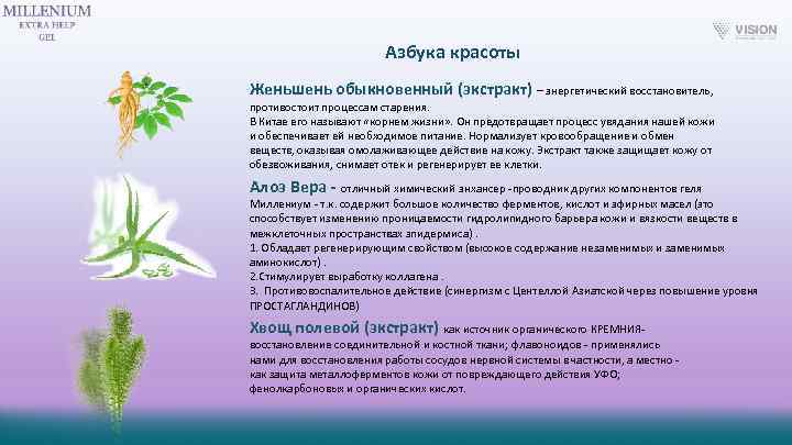 Азбука красоты Женьшень обыкновенный (экстракт) – энергетический восстановитель, противостоит процессам старения. В Китае его