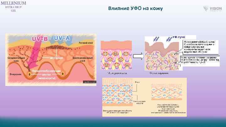 Влияние УФО на кожу 