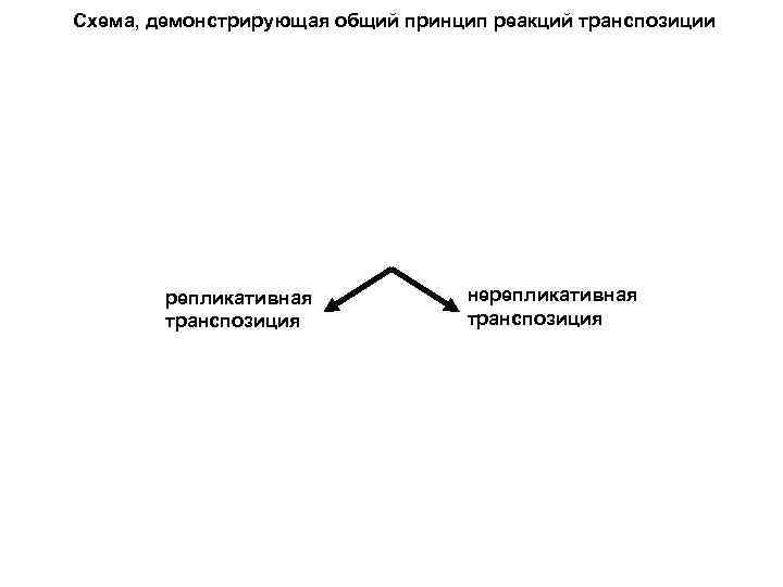 Схема, демонстрирующая общий принцип реакций транспозиции репликативная транспозиция нерепликативная транспозиция 