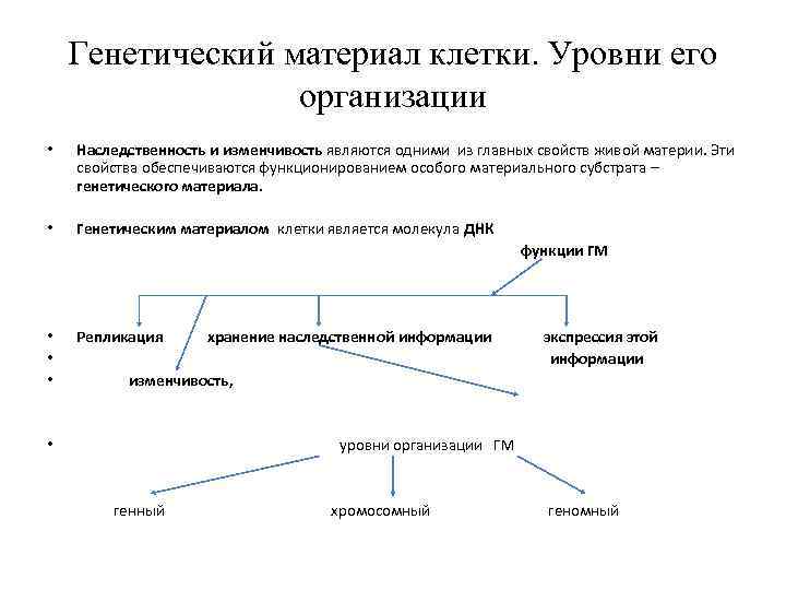 Генетический материал клетки. Уровни его организации • Наследственность и изменчивость являются одними из главных