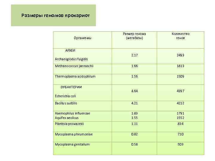  Размеры геномов прокариот Организмы АРХЕИ Archaeoglodus fuigidis Размер генома (мегабазы) Количество генов 2.