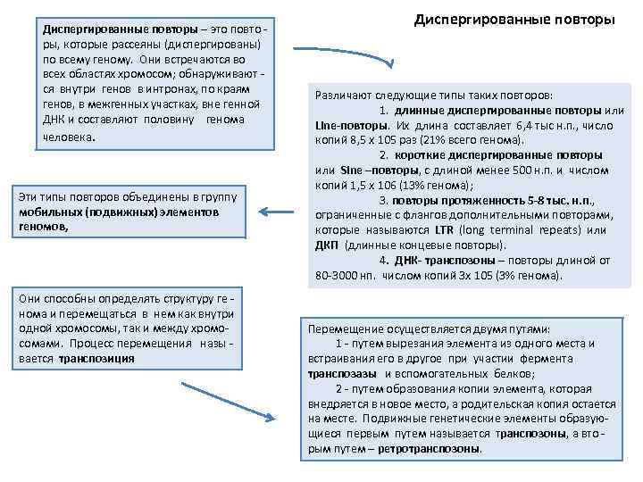 Диспергированные повторы – это повто ры, которые рассеяны (диспергированы) по всему геному. Они встречаются