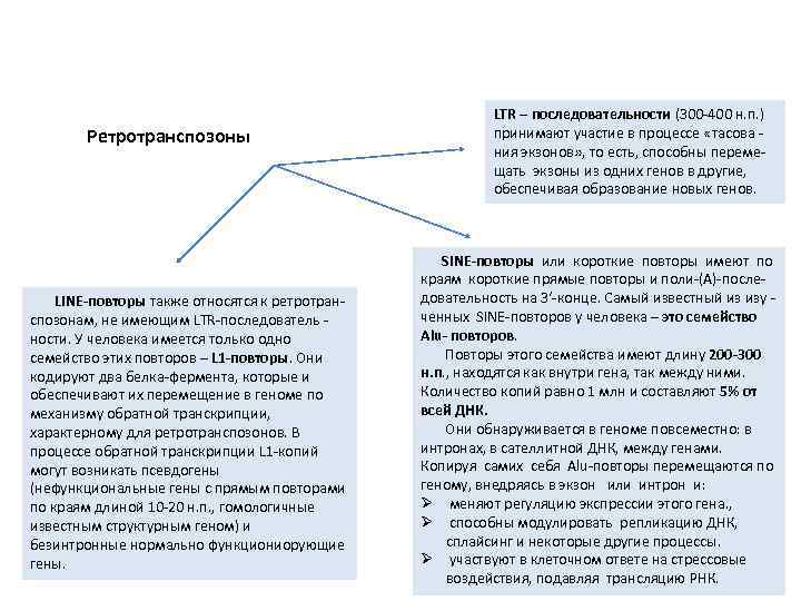 Ретротранспозоны LINЕ-повторы также относятся к ретротран- спозонам, не имеющим LТR-последователь ности. У человека имеется
