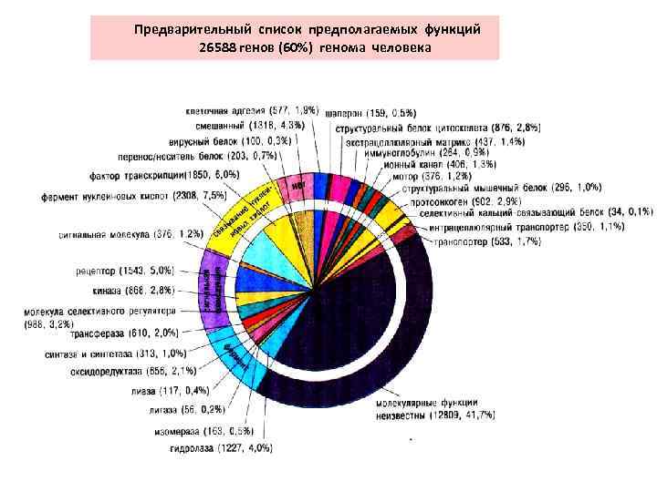  Предварительный список предполагаемых функций 26588 генов (60%) генома человека 