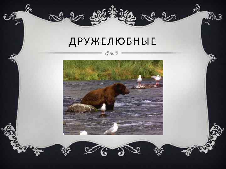 ДРУЖЕЛЮБНЫЕ 