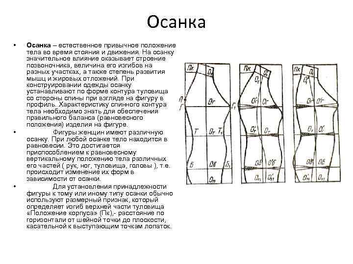 Осанка • • • Осанка – естественное привычное положение тела во время стояния и