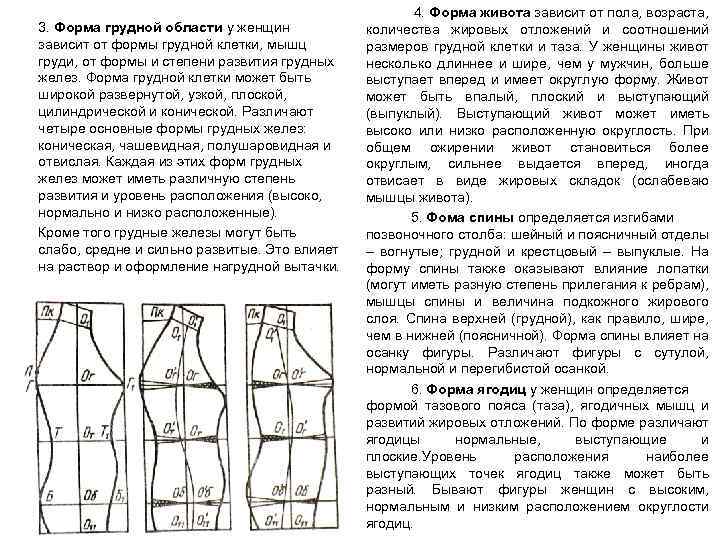 3. Форма грудной области у женщин зависит от формы грудной клетки, мышц груди, от