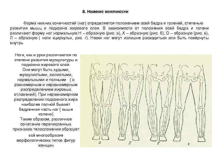 Формы тела женщины фото