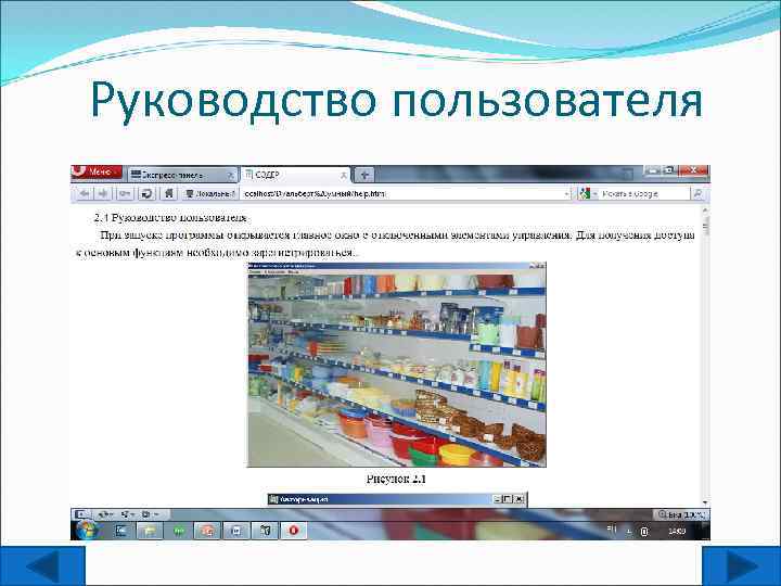 Руководство пользователя 