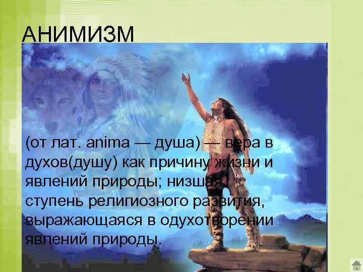 АНИМИЗМ (от лат. anima — душа) — вера в духов(душу) как причину жизни и