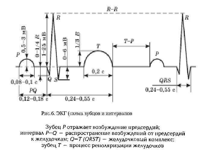 Схема кардиограммы как делать