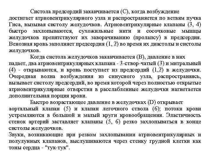 Систола предсердий заканчивается (С), когда возбуждение достигает атриовентрикулярного узла и распространяется по ветвям пучка