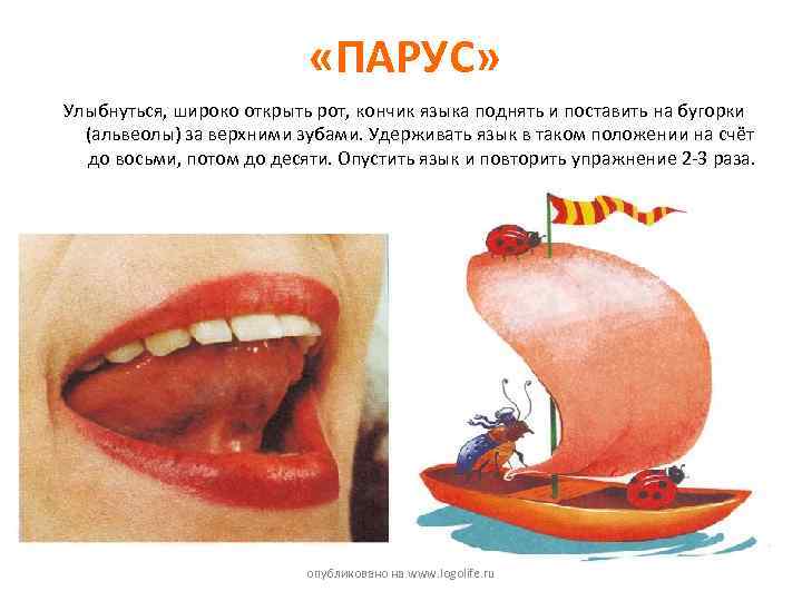  «ПАРУС» Улыбнуться, широко открыть рот, кончик языка поднять и поставить на бугорки (альвеолы)