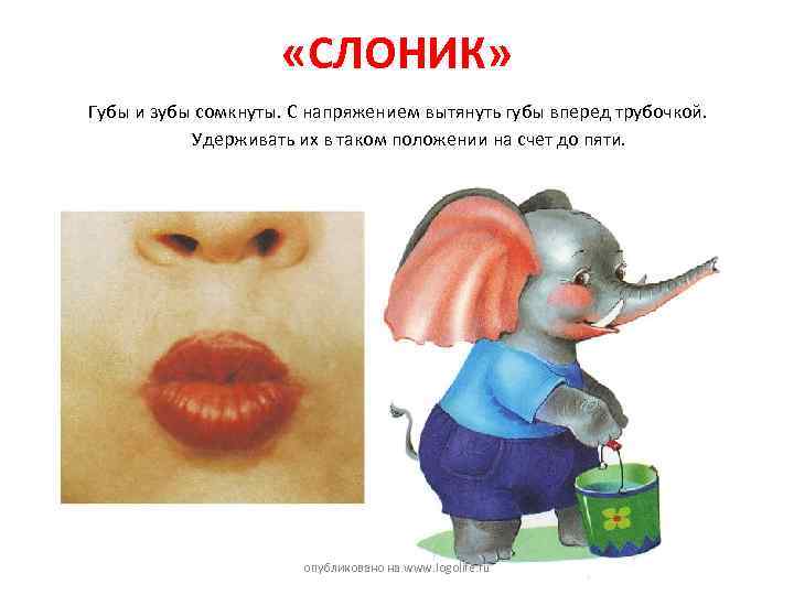  «СЛОНИК» Губы и зубы сомкнуты. С напряжением вытянуть губы вперед трубочкой. Удерживать их