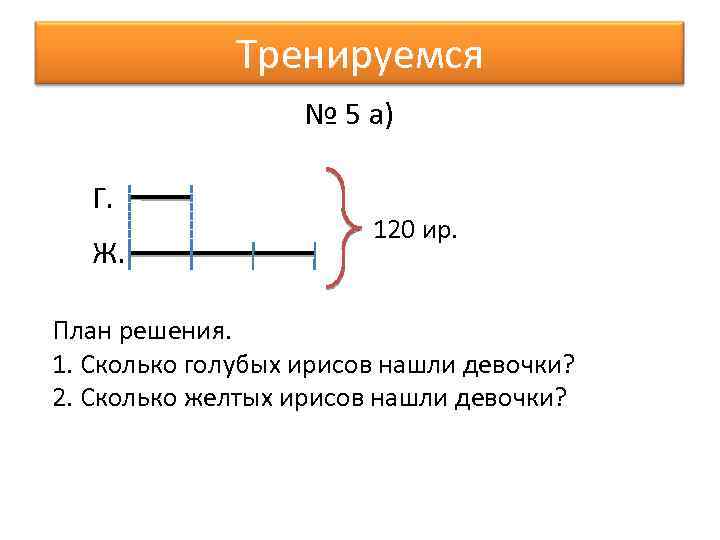 Тренируемся № 5 а) Г. Ж. 120 ир. План решения. 1. Сколько голубых ирисов