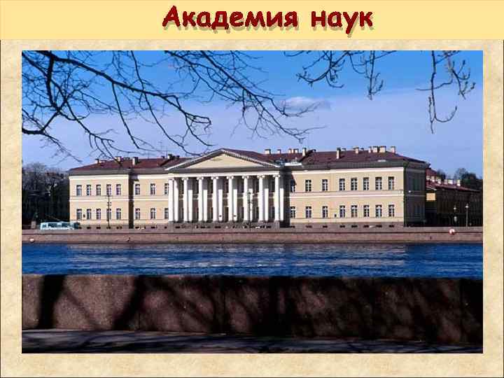 Академия наук 